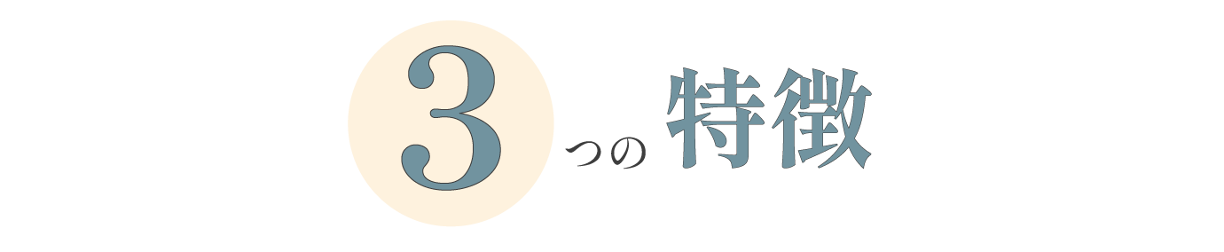 3つの特徴